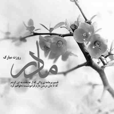 آهنگ کاشکی میشد بهت بگم چقدر صداتو دوست دارم