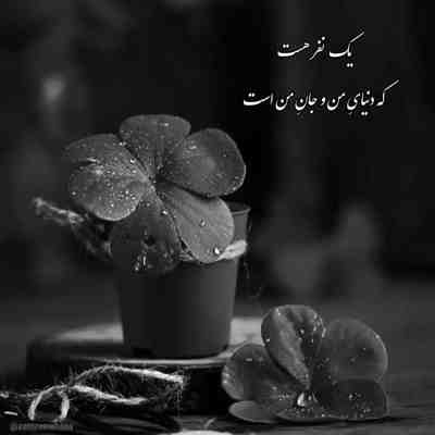 آهنگ دیوونه ی دیوونم پیش تو