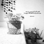 آهنگ تو شدی هستو نیسته کسی که زندگیش با تو ریسکه یه گل مصنوعی حیف اصلا نمیشه