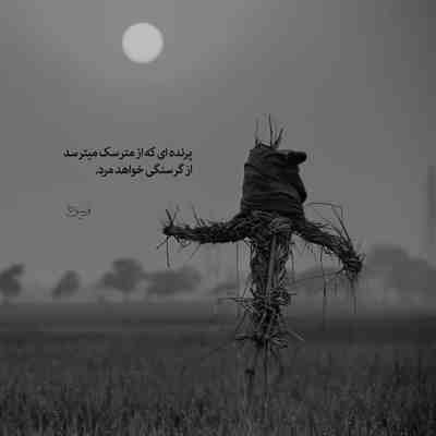آهنگ تو که بلدی منو الکی نرو غیرتی میشم روت