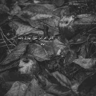 آهنگ میدون و خالی دیدی خوب نشستی وسط دلم