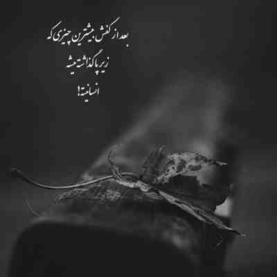 آهنگ ورود ممنوع کردم قلبمو نمیاد کسی جای تو