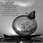 آهنگ منو درکم کن یکم از پیشم نرو هر چی تو بخوای همون میشم نرو