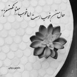 آهنگ هزارتا درد توو سینه ی منه که واسه ی هر کدوم یه بار مردم