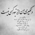 آهنگ شنیدم گرگ باید شد شده دنیا حیات وحش و انسان دُر