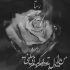 آهنگ بهتره پرواز کنی ، پنجره را باز کنی عاشقی یا نه