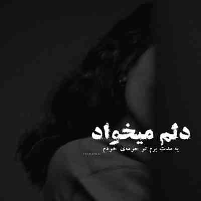 آهنگ بمون اين دوری بد درديه نرو