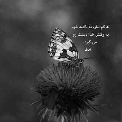 آهنگ یه روزی یه جایی یادم میوفتی