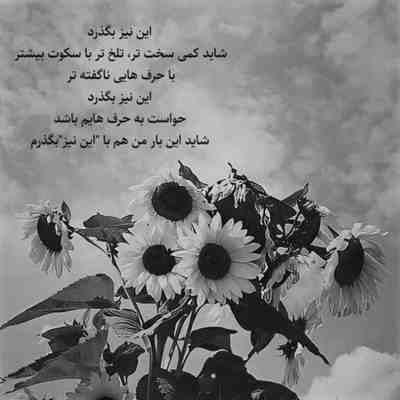 آهنگ عمر و جون من تو همه وجود من تو