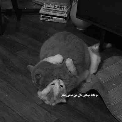 آهنگ بی نقصی خدایی