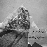 آهنگ عشق من طلا چه قشنگ سری تو سرا خوب میدی قلبمو جلا