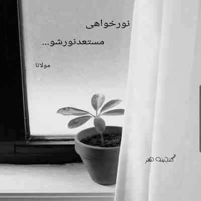 آهنگ قدم قدم کنار تو تو فکر تو بودمو بس