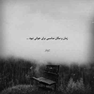 تو خبر داری از این دیوونه که آروم نمیگیره