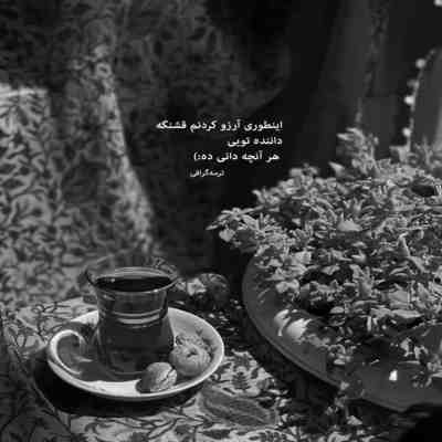 آهنگ باش کمی حوصله کن تو دلم زلزله کن