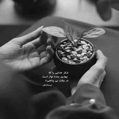 آهنگ منکه منکه تسه حبس