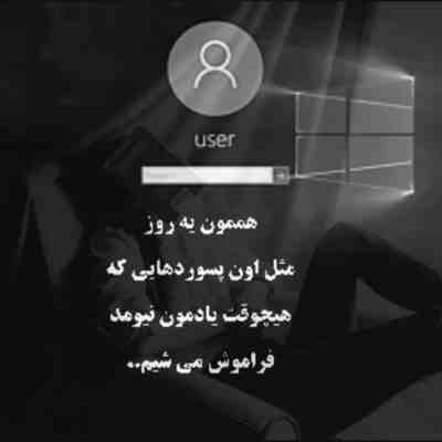 آهنگ من زورم رسید به جای خالیت