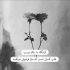 دانلود آهنگ یا لیلی یا لیلا ریمیکس اصلی با صدای مرد Ya Lili feat. Hamouda