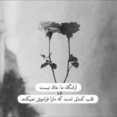 آهنگ عشوه های دلبر هوش را برد ز سرم