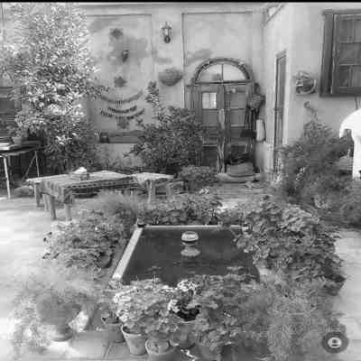 آهنگ شما خونتون مورچه داره