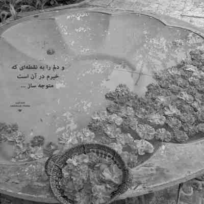 آهنگ وقتی میگیره دلت از آدما کم گله کن