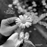 آهنگ اتفاقا عزیزم منم عاشقتم انتخابم تویی تو شدی باب دلم