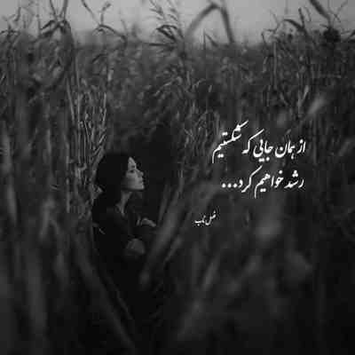 آهنگ چشمات مثل یه نقاشی نابه