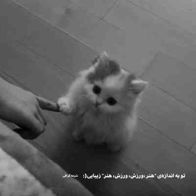 آهنگ کجا داری میری ‎بیا بشیم باز مال هم