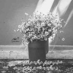 آهنگ نباشی به مو بنده این دل غد یه دنده