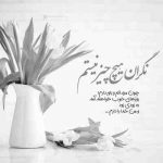 آهنگ موهاتو میبافم من دونه به دونه این شهرو میگردم بات شونه به شونه