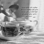 آهنگ چند تا چند تا برات گل بیارم میشه قلبمو برات کادو بذارم من یه قایقم که بی تو غرق آبم