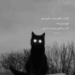 آهنگ تو به دنیا اومدی که دنیا رنگی بشه
