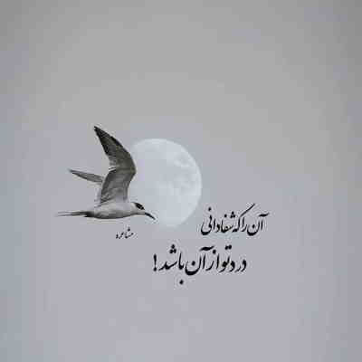 آهنگ تو چشات ناز داری میخندیو