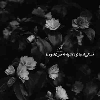 آهنگ ای ساربان لیلای من کجا میبری