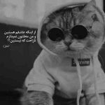 آهنگ نمیتونی به من دروغ بگی تو وقتی که بهم نگاه میکنی