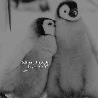 آهنگ دنیا دیگه مثل تو نداره