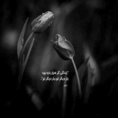 آهنگ بیا بیا بیا به منو توئه چشم خیلیا