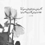 آهنگ دنبال جای زخمامی نترس تو قلبمه