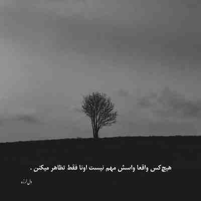 آهنگ من بخشیدمش قاتلمو