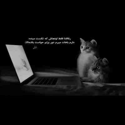 آهنگ دلم تنگه برای کوچه 5 خیابون نفت