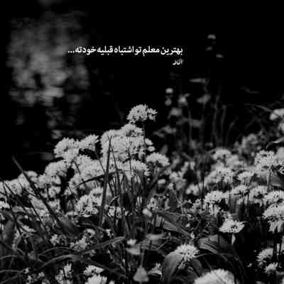 آهنگ به دست خود درختی می نشانم