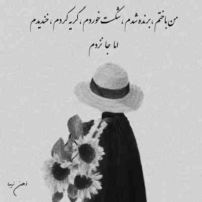 آهنگ دل آرا امشب شور حالی دارم