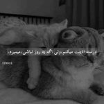 آهنگ نمیگی میمیرم واسه اون آتیش تو چشمات