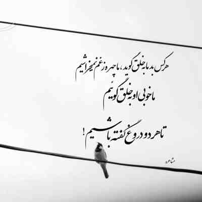 حمید صفت بعد آزادی از زندان