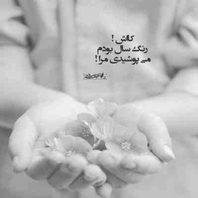 آهنگ میخندی رو لب های کی