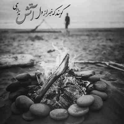 آهنگ عاشقی خب منم عاشقم نرو