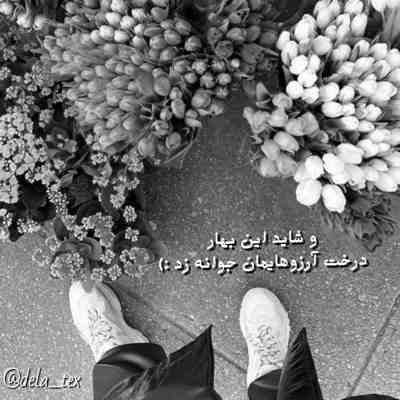 آهنگ با تو خوشه حالم خوبه احوالم