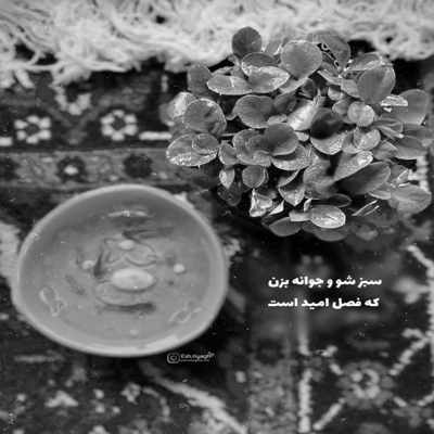 آهنگ ای عشق نافرجام من رفتی کجا