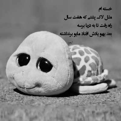 آهنگ حالا باز منو نسیم و موج دریا