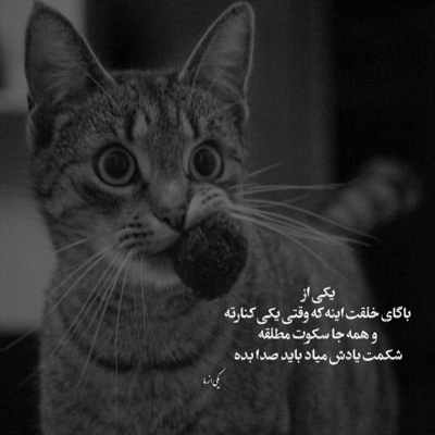 آهنگ همه ی تو آخه مال منه