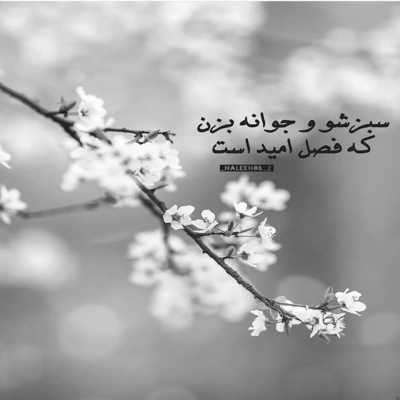 آهنگ همه گلا میدونن تو نیایی بهار نمیشه